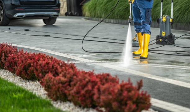 Best Building Exterior Washing  in Trinity, AL